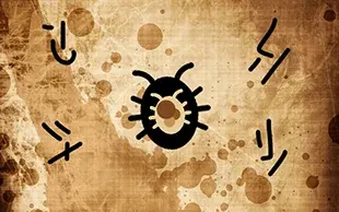 bugSpell2